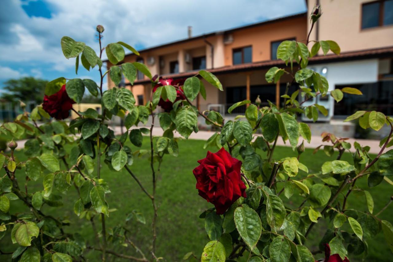 Spa Kompleks Raiski Kat Dimitrovgrad  Eksteriør bilde